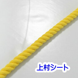 黄 ロープ エステルカラーロープ 直径8mm カット販売 黄色 ポリエステルロープ