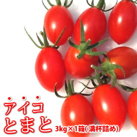 【送料無料】 アイコトマト3.0kg 熊本産塩トマトミネラルトマト
