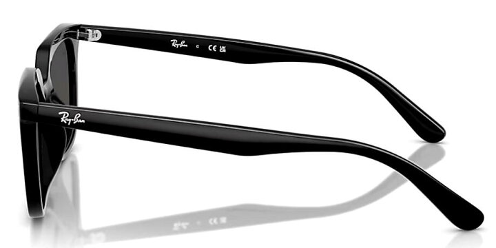 楽天市場】レイバン RayBan RB4439D 901/87 54mm ブラック 