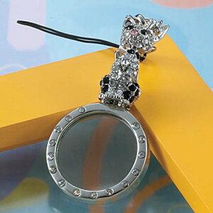 ���[�y�t���X�g���b�v�@�v�����Z�X�L���b�g