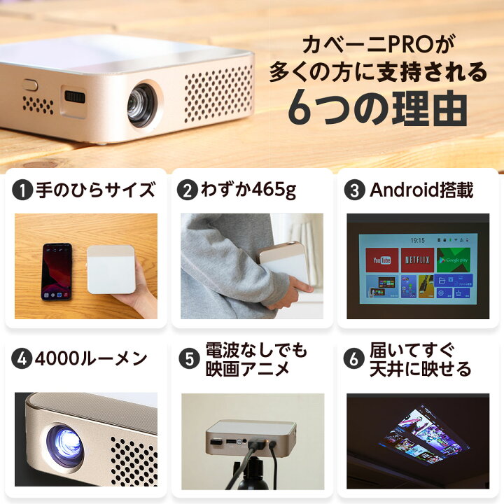 楽天市場】【本日限定9倍!+4000円OFF】 カベーニPRO モバイル  