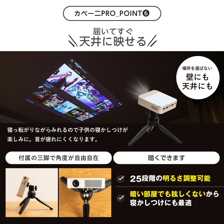 楽天市場】【本日限定9倍!+4000円OFF】 カベーニPRO モバイル 