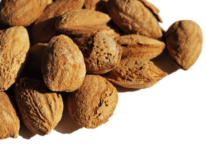 A[h kt   1kg A É Ɩp ibc hCt[c ٍޗ [ XC[c almond