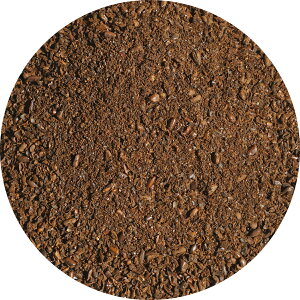 nu nu` q PcCV ߂ GrXOT Α ͂Ԓ cassia seed z