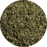 ベルベイヌ レモンバーベナ ベルベイヌ レモンバーベナ belbene lemon verbena ベルベーヌ ハーブ コウス…