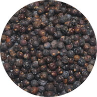 ジュニパーベリー ジュニパー ベリー juniper berry じゅにぱーべりー セイヨウネズ 未選別 未成熟 夾雑物
