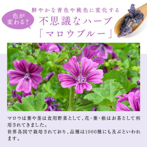 楽天市場 スパイス ハーブ ま マロウ アメ横大津屋スパイス 豆の専門店