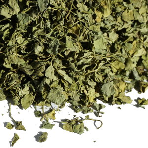 JXeB[ [t JXeB A É JXeB[ [t JXeB A É XpCX n[u Ɩp JX tFkO[N fenugreek  methi eB[ b` 