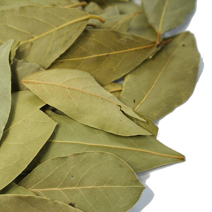 楽天市場 ローレル ベイリーフ ローリエ 50g スパイス ハーブ 月桂樹 ロリエ ローリエ Laurel Laurier ゲッケイジュ Bay Leaf Bay Leaves ベイリーフ ベイリーブズ アメ横大津屋スパイス 豆の専門店