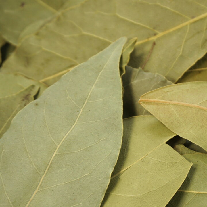 楽天市場 ローレル ベイリーフ ローリエ 50g スパイス ハーブ 月桂樹 ロリエ ローリエ Laurel Laurier ゲッケイジュ Bay Leaf Bay Leaves ベイリーフ ベイリーブズ アメ横大津屋スパイス 豆の専門店