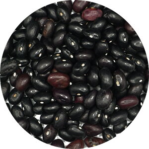 kCY I 蓤 I܂ A É ܂ CQ 񂰂 runner bean B B CQ CQ}
