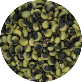 2024年度産 長野県産 鞍掛豆 海苔豆 くらかけ豆 くらかけまめ 青大豆 浸し豆 浸豆