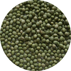 2024NxY Ŗ 哤 ΂蓤 green soybean 쌧Y A É