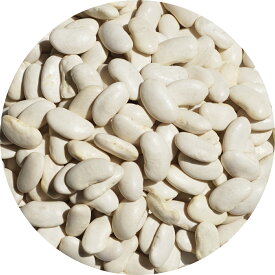 白いんげん豆 シロインゲンマメ 隠元 インゲンマメ white kidney beans runner bean avy bean haricot white pea bean pea bea