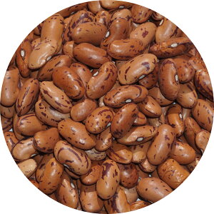 �s���g�r�[���Y ���W�} �`�b�g�J�u�� �s���g �r�[���Y �s���g�� pinto bean common bean �C���Q���� �C���Q��