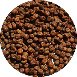 2025NxY kCY Ԃǂ 1kg Ԃǂ G\E GhE ݂ ~c A É