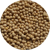 カナダ産 大豆 アメ横 大津屋 soybean ダイズ だいず 豆 輸入豆