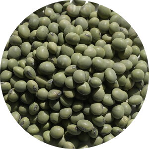 2024NxY Ɩp Ђ } Z Ђ A É ~MAI Z AIo^} soybean _CY 