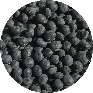 2024NxY ꌧY ߍ] 1kg 哤 c_X pbNi ߍ]  A É ܂ N}