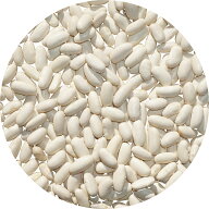ホワイト ビーンズ white pea bean インゲンマメ 豆 まめ ホワイトビーンズ ホワイト 白豆 white pea bea…