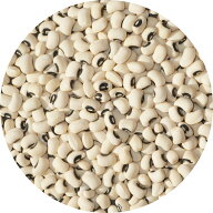 ブラック アイ ピー black eyed peas パンダ豆 ロビア パンダ ブラックアイ ビーンズ 黒目豆 ダル ダール