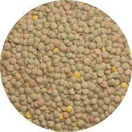 ブラウン レンテル 茶 lentil レンズマメ 扁豆 ヒラマメ レンズ豆 皮つき マッスルホール マスールダール…