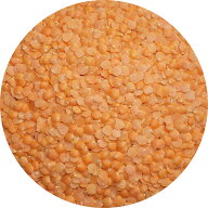 アメ横 大津屋 レッド レンテル レンズ豆 赤 lentil masoor dal レンズマメ 扁豆 ヒラマメ 皮むき レッド…