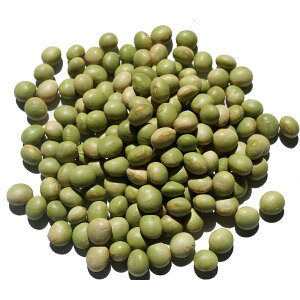 2024NxY ` 哤 `  哤  R`Y soybeans A É