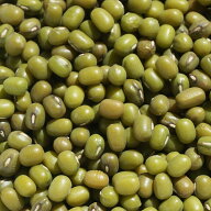 ムング ホール 緑豆 1kg アメ横 大津屋 リョクトウヤエナリ 八重生 青小豆 文豆 もやし 豆 まめ 皮付き …
