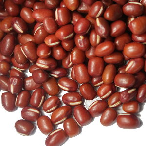 2024�N�x�Y ���s�Y ���c�_���X�Y �O�g��[������ 1kg �O�g ��[�� ���� �_�C�i�S�� �����Ȃ��� azuki bean �A�Y�L � ������