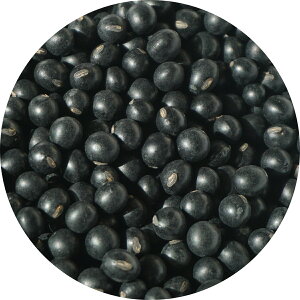2023NxY kCY   A É ܂ N}  哤 2mm 3mm   