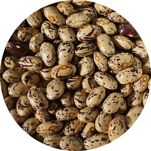 2022NxY kCY 瓤 1kg B B CQ Â ؓ Ox pinto bean  Â瓤 