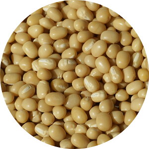 2022NxY kC  1kg A É    azuki bean AYL   傤  날 VAYL