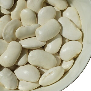 Y ԓ 񂰂 唒| A É CQ} runner bean B CQ  唒|