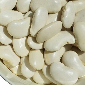 Y ԓ 񂰂 唒| 10kg A É CQ} runner bean B CQ  唒|