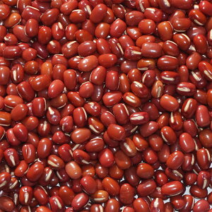 2024NxY kC \Y 10kg  A É azuki bean AYL   傤