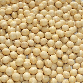 2023年 北海道産 大豆 1kg 2.6分玉 7.8mm玉 アメ横 大津屋 soybean ダイズ だいず 北海道 とよまさり