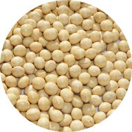 2025年度産 北海道産 大豆 2.8分玉 8.4mm玉 アメ横 大津屋 soybean ダイズ だいず 北海道 鶴娘