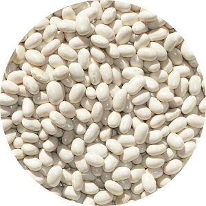 2024NxY kCY Z A É іS S Ă e{ CQ} runner bean B CQ Z 