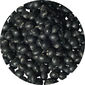 2024NxY kCY  3 A É ܂ N}  哤 9mm 