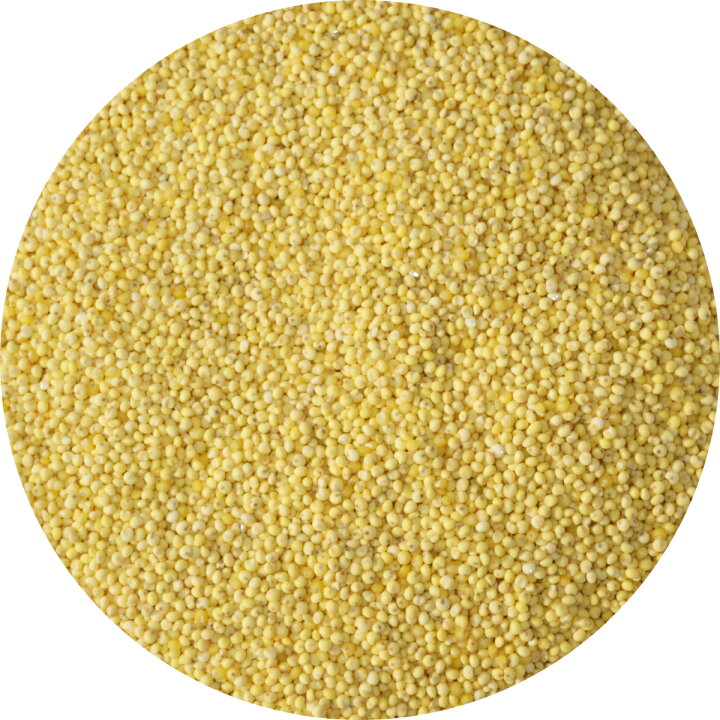 楽天市場】もちきび 1kg モチ キビ 黍 稷 きび 五穀 黄実 proso millet 