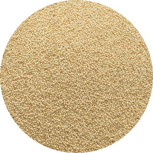 A}TX amaranthus A}X amaranth ܂񂳂 ܂ G G