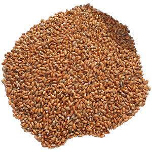 ԕ Y 500g  ܂ Ñ LF Ff G G ? red rice