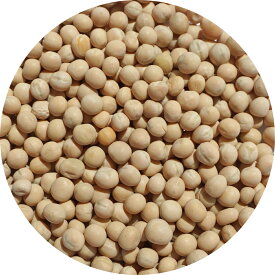 ホワイトピース trapper Peas えんどう豆 ノラマメ pisum sativum 豌豆 白えんどう豆 トラッパーピース 豆 乾物 white peas