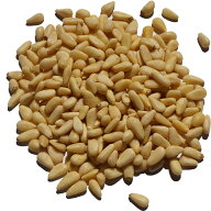 松の実 アメ横 大津屋 生 業務用 ドライ ナッツ ドライフルーツ 製菓材料 pine nut pinoli 海松子 松子仁…