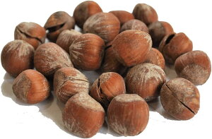 w[[ibc kt w[[ A É Ɩp hC ibc hCt[c ٍޗ Hazelnut nVo~ ͂΂ Y
