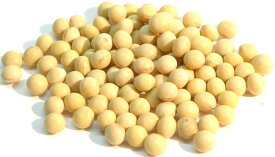 カナダ産 大豆 アメ横 大津屋 soybean ダイズ だいず 豆 輸入豆
