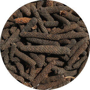 Oybp[ qnc ` z[ J[ J[ L piper longum long pepper Ђ͂