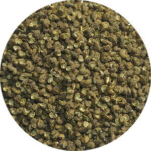 Ԟ ` Ԟ A É Ɩp 񂵂 TV JzNUVE ؖkR 傤 zAWI R