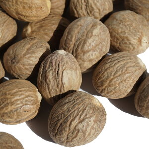 icO ` z[ 500g nutmeg ibcbO icbO jNYN ? Ȃ߂